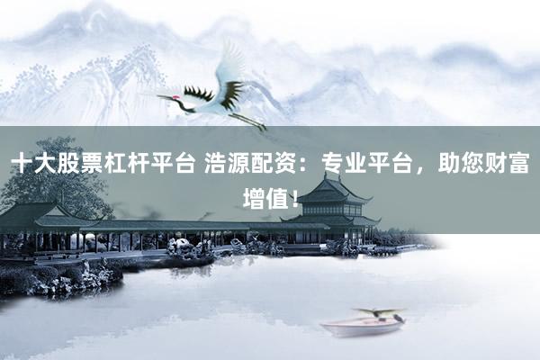 十大股票杠杆平台 浩源配资：专业平台，助您财富增值！