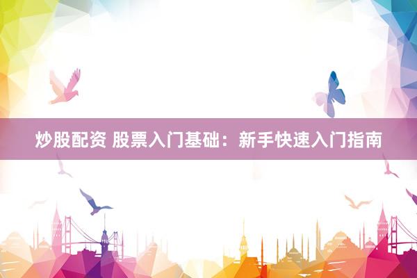 炒股配资 股票入门基础：新手快速入门指南
