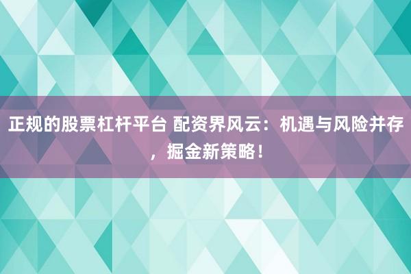 正规的股票杠杆平台 配资界风云：机遇与风险并存，掘金新策略！