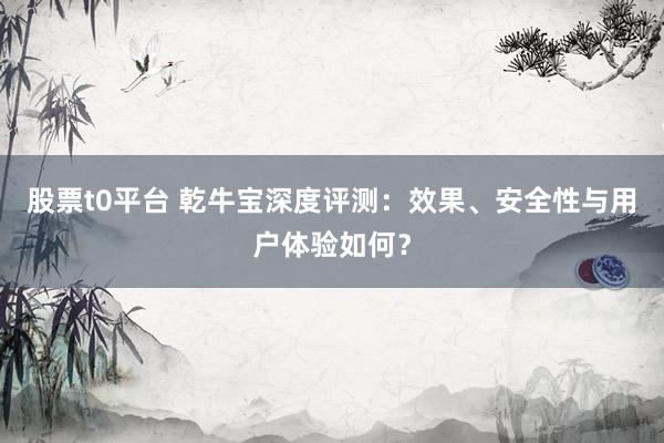 股票t0平台 乾牛宝深度评测：效果、安全性与用户体验如何？