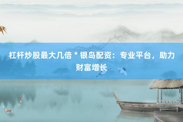 杠杆炒股最大几倍 * 银岛配资：专业平台，助力财富增长