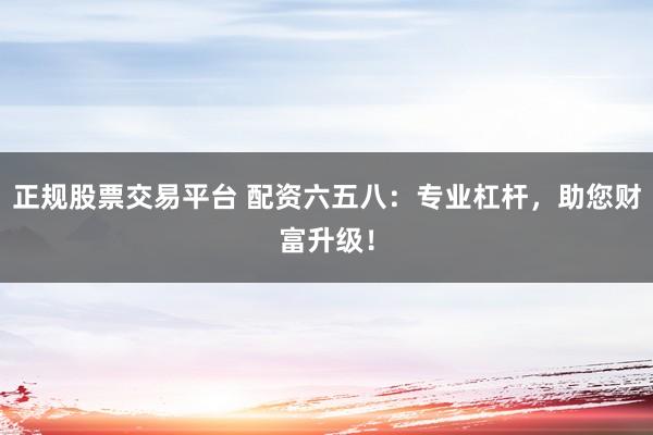 正规股票交易平台 配资六五八：专业杠杆，助您财富升级！