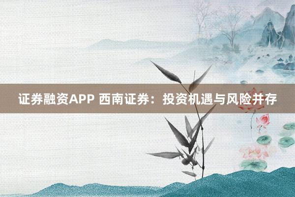 证券融资APP 西南证券：投资机遇与风险并存