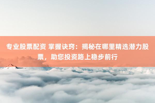 专业股票配资 掌握诀窍：揭秘在哪里精选潜力股票，助您投资路上稳步前行