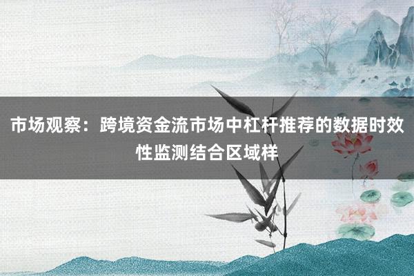 市场观察：跨境资金流市场中杠杆推荐的数据时效性监测结合区域样