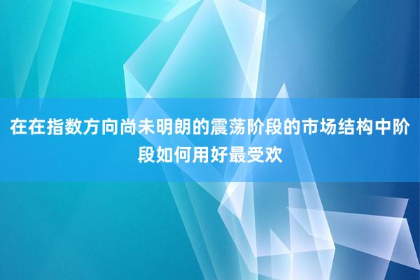 在在指数方向尚未明朗的震荡阶段的市场结构中阶段如何用好最受欢