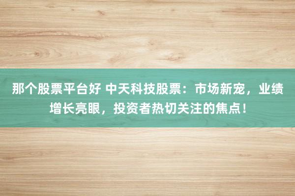 那个股票平台好 中天科技股票：市场新宠，业绩增长亮眼，投资者热切关注的焦点！