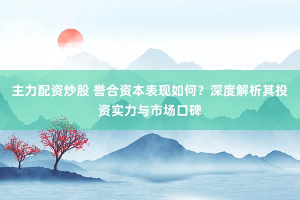 主力配资炒股 誉合资本表现如何？深度解析其投资实力与市场口碑